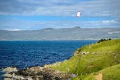 Dream-Flight Weasel-Trek 90cm -Rc Airplane Store dream flight weasel trek 90cm 20