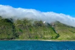 Dream-Flight Weasel-Trek 90cm -Rc Airplane Store dream flight weasel trek 90cm 30