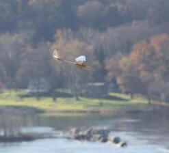 Micro Bird Of Time 1.2m 19 Micro Bird Of Time 1.2m -Rc Airplane Store micro bird of time 1 2m 20