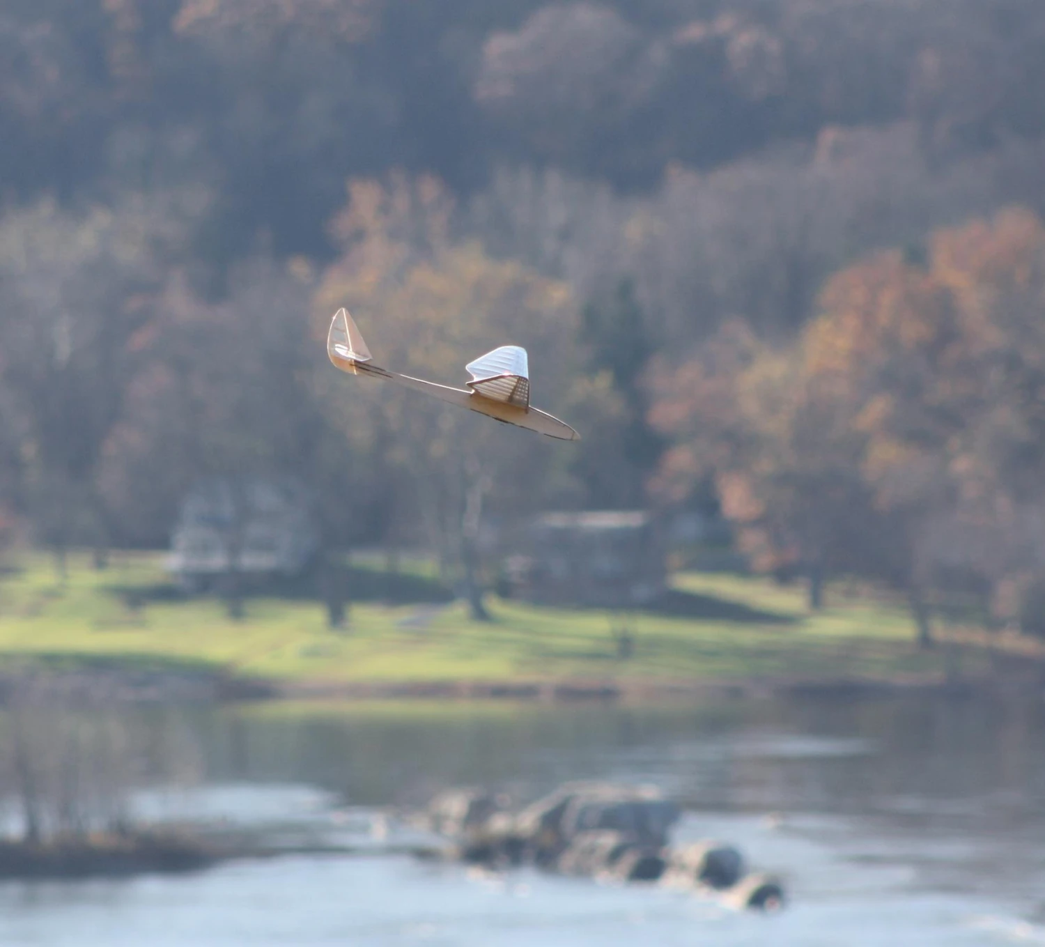 Micro Bird Of Time 1.2m 4 Micro Bird Of Time 1.2m - Image 2