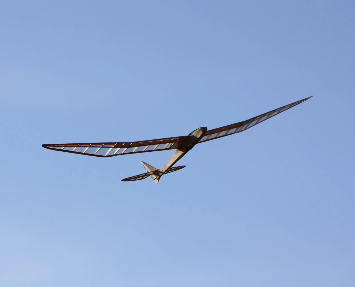 Micro Bird Of Time 1.2m 5 Micro Bird Of Time 1.2m - Image 3