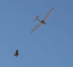 Micro Bird Of Time 1.2m 21 Micro Bird Of Time 1.2m -Rc Airplane Store micro bird of time 1 2m 45