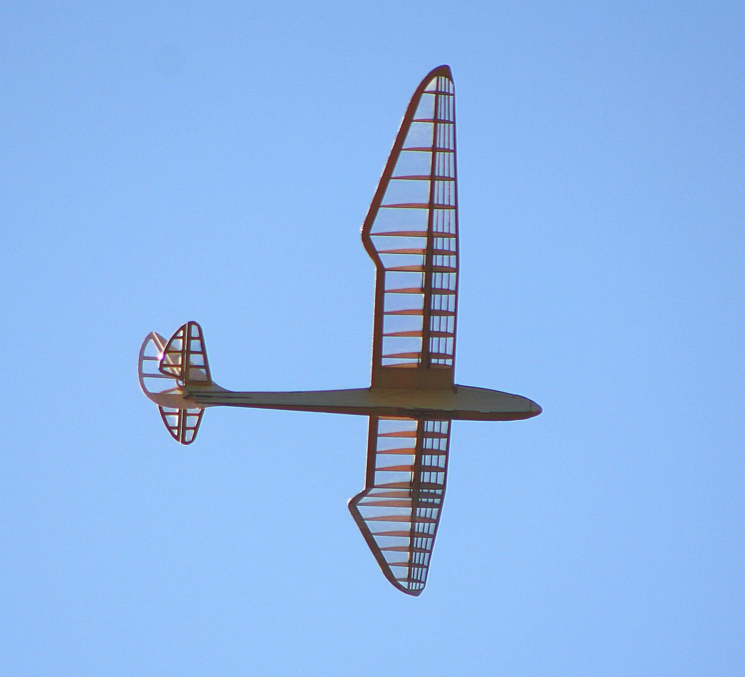 Micro Bird Of Time 1.2m 7 Micro Bird Of Time 1.2m - Image 5