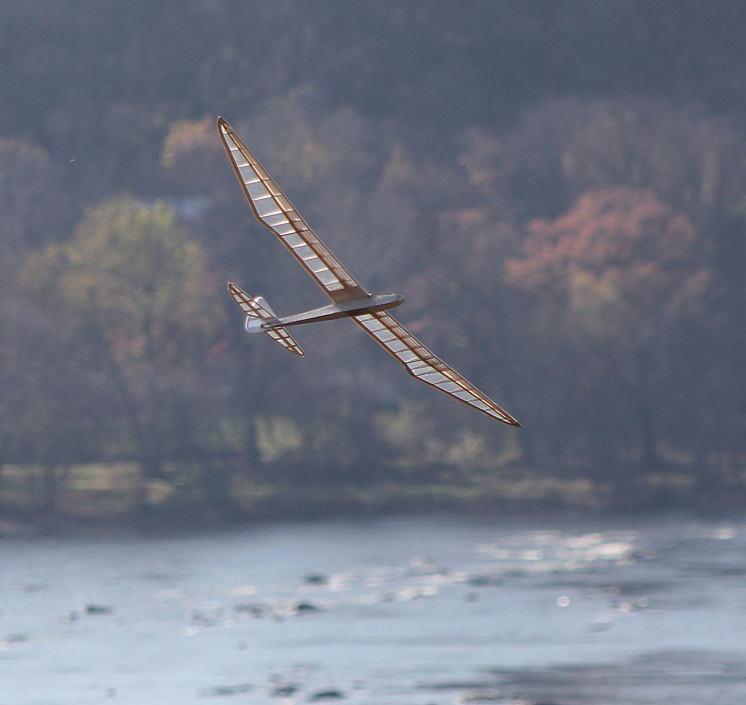 Micro Bird Of Time 1.2m 3 Micro Bird Of Time 1.2m